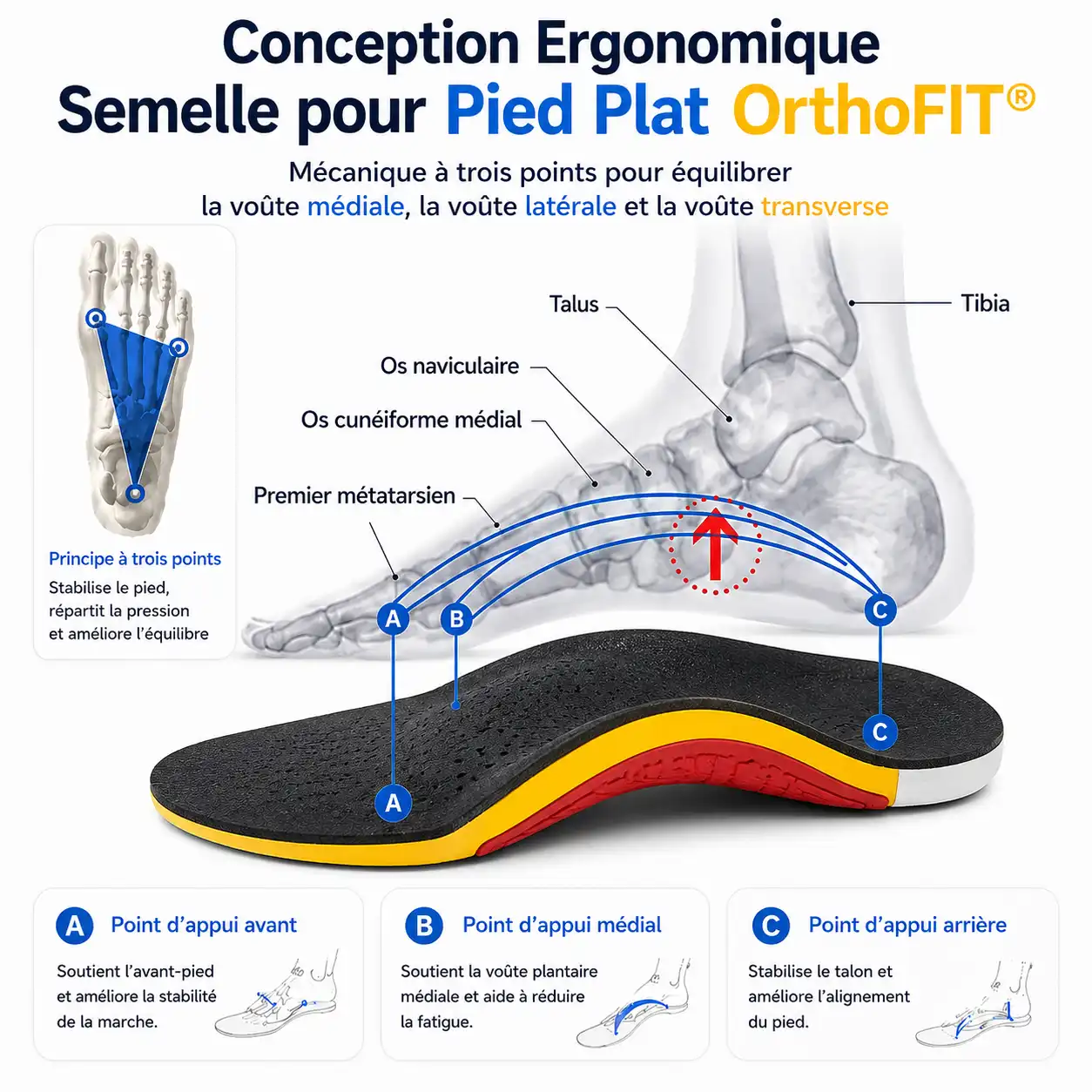 Semelle pied plat OrthoFIT® avec soutien ciblé de la voûte plantaire